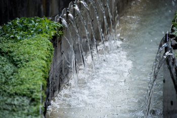 Wasser sprudelt aus einer metallenen Rille, umgeben von grünen Pflanzen in einem Wasserlauf.